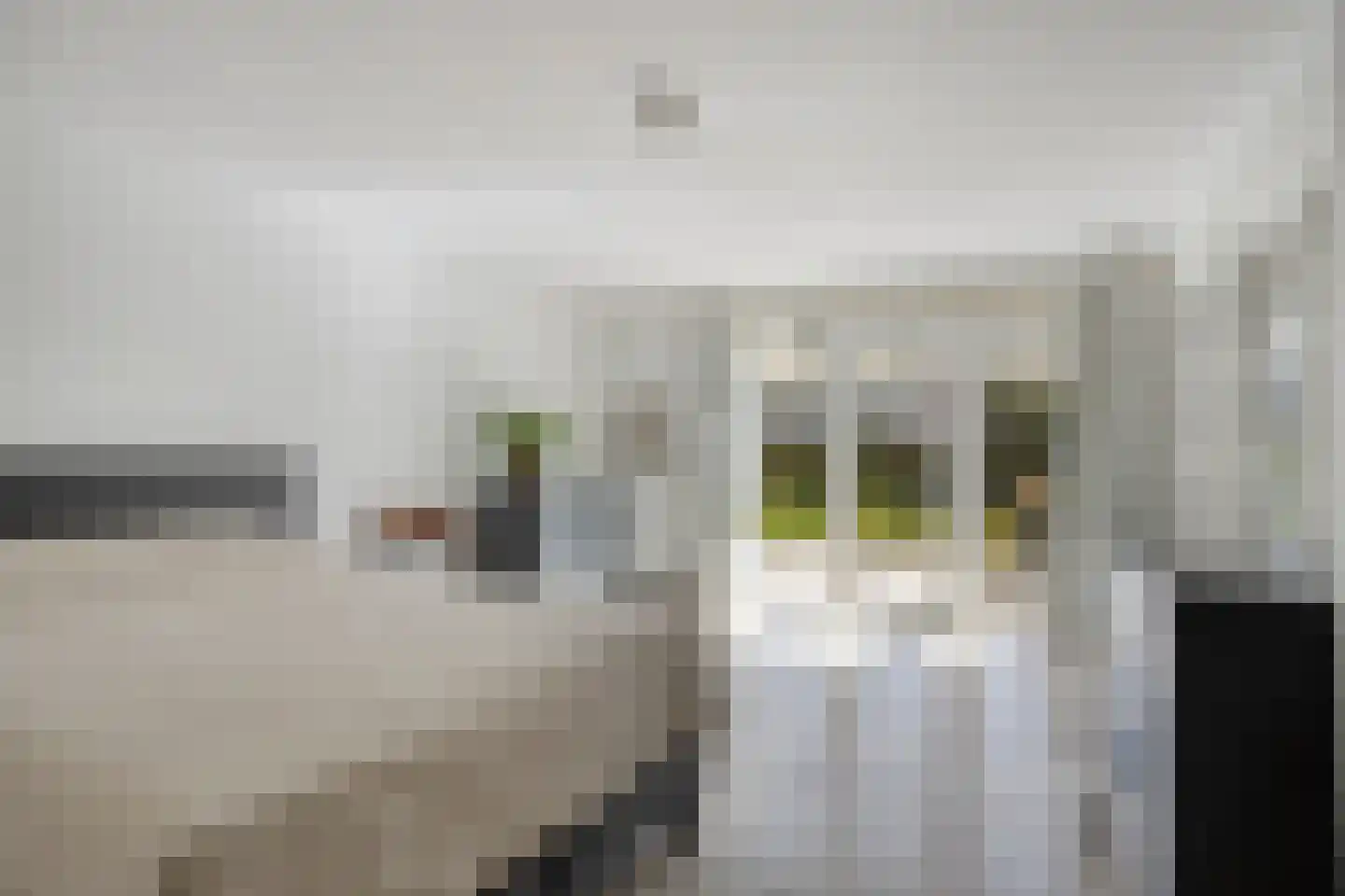 Rhijnvreugd 7 Zoeterwoude thumbnail 14