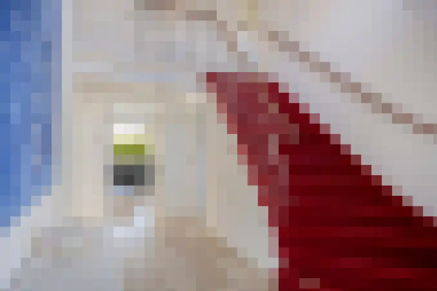 Rhijnvreugd 7 Zoeterwoude thumbnail 16