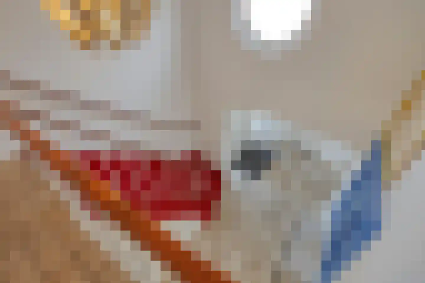 Rhijnvreugd 7 Zoeterwoude thumbnail 23