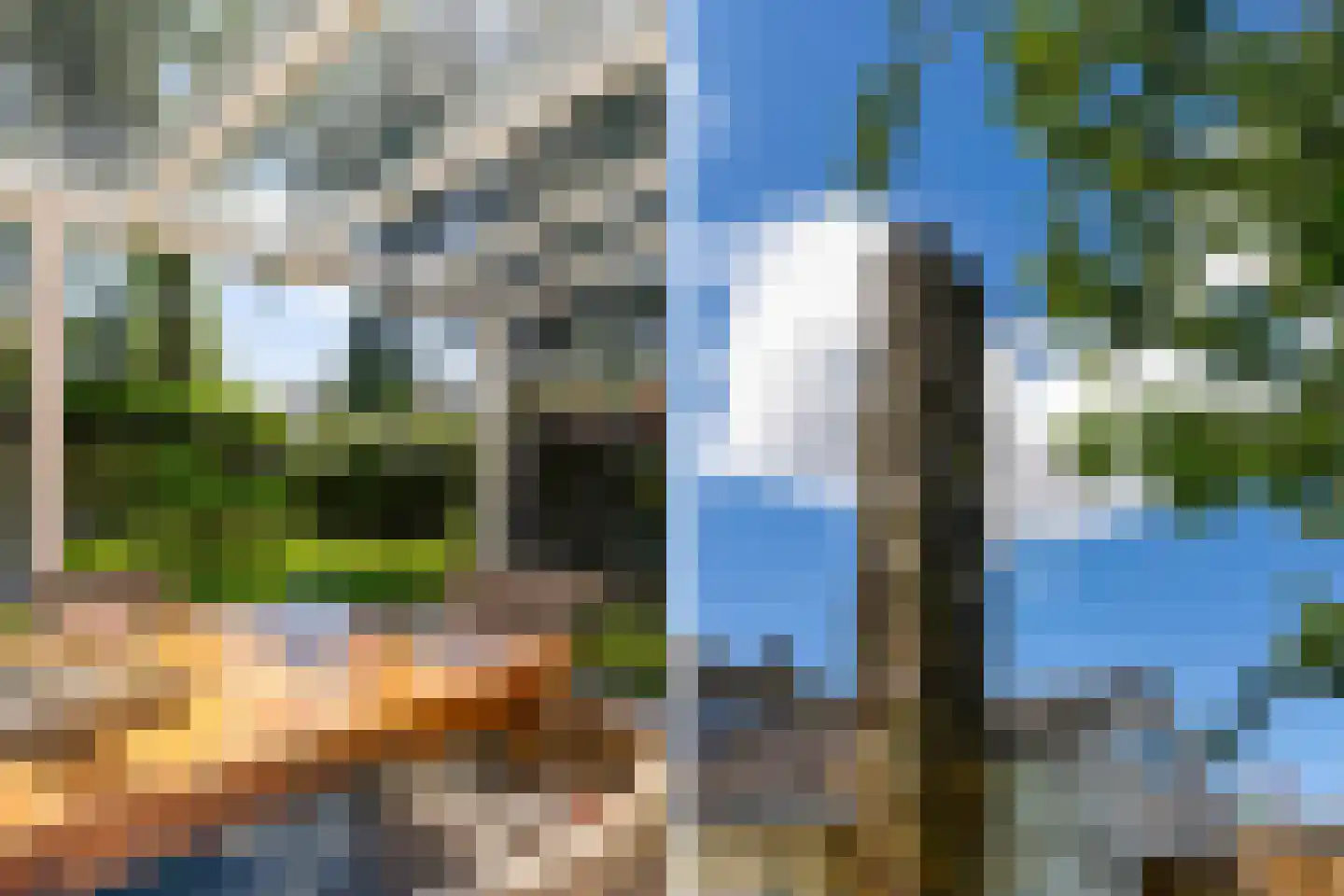 Rhijnvreugd 7 Zoeterwoude thumbnail 36