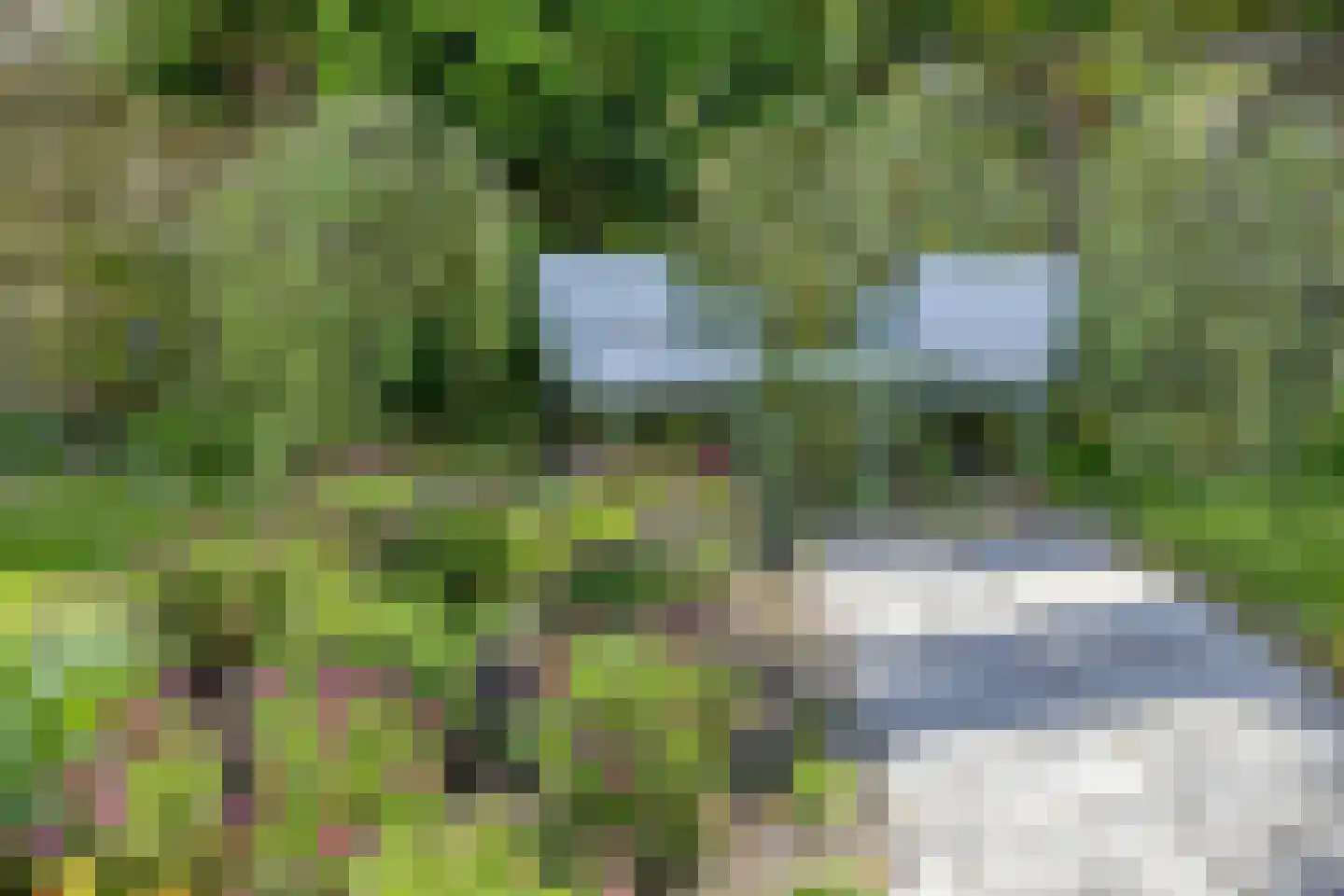 Rhijnvreugd 7 Zoeterwoude thumbnail 38