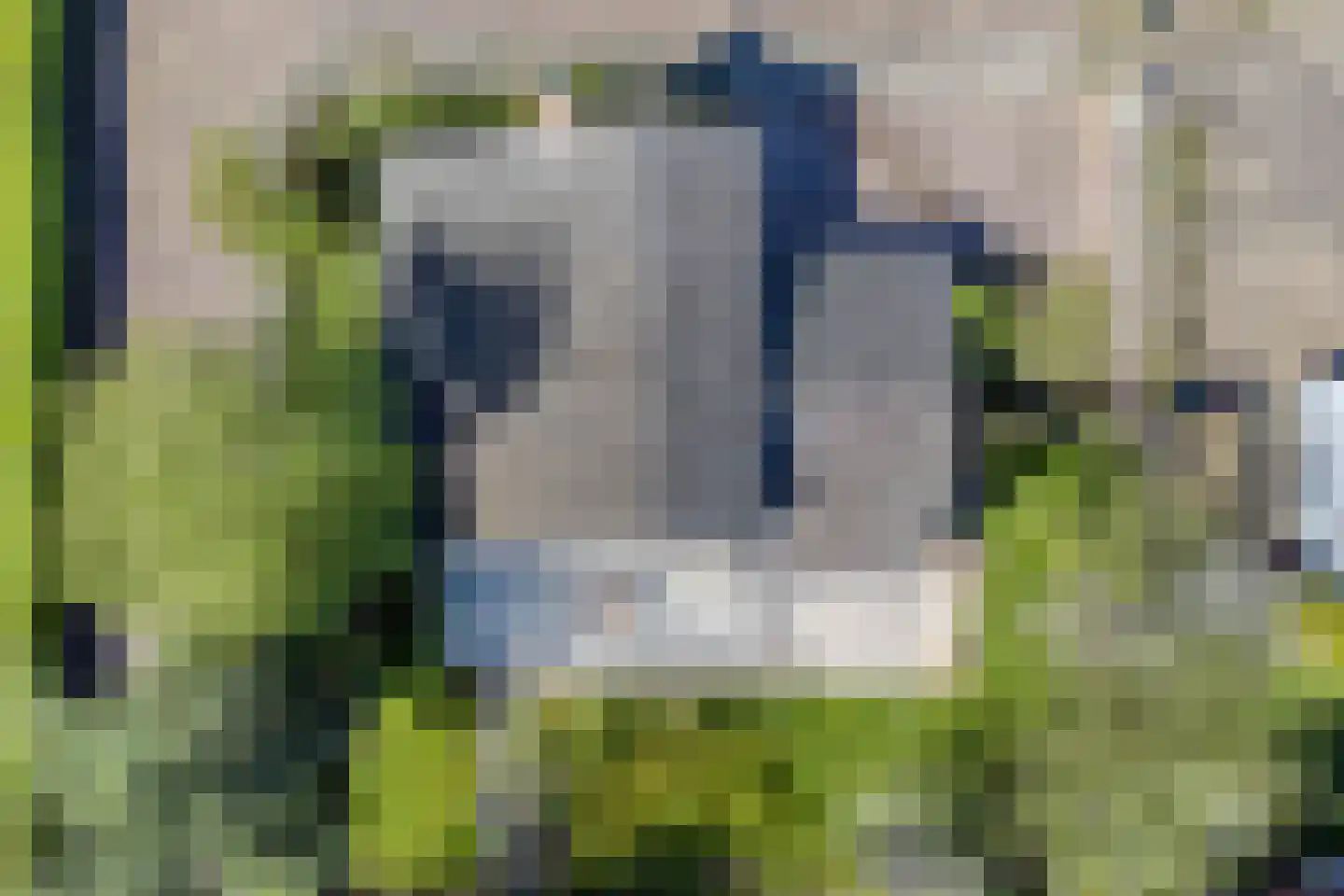 Rhijnvreugd 7 Zoeterwoude thumbnail 43