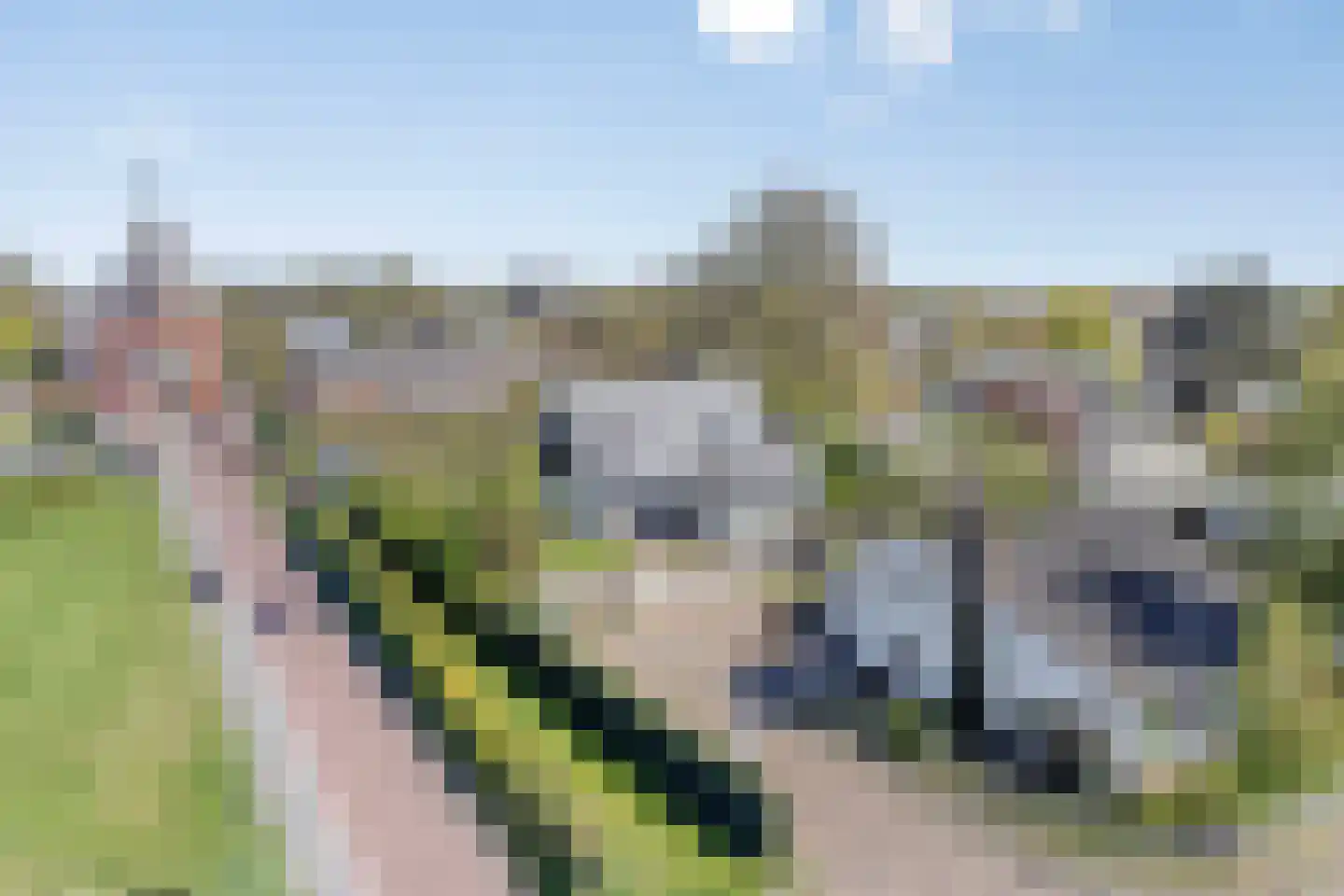 Rhijnvreugd 7 Zoeterwoude thumbnail 44