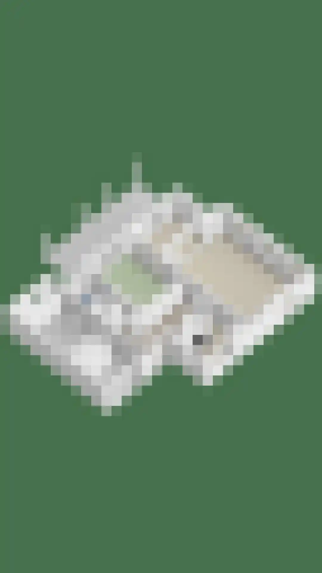 Rhijnvreugd 7 Zoeterwoude thumbnail 53