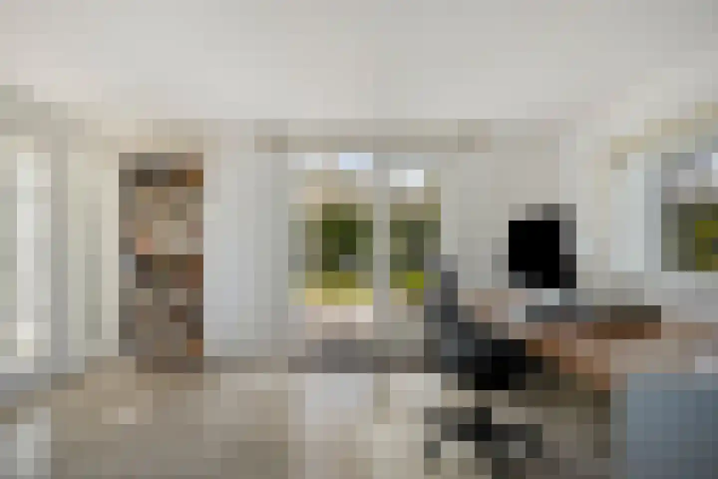 Rhijnvreugd 7 Zoeterwoude thumbnail 9
