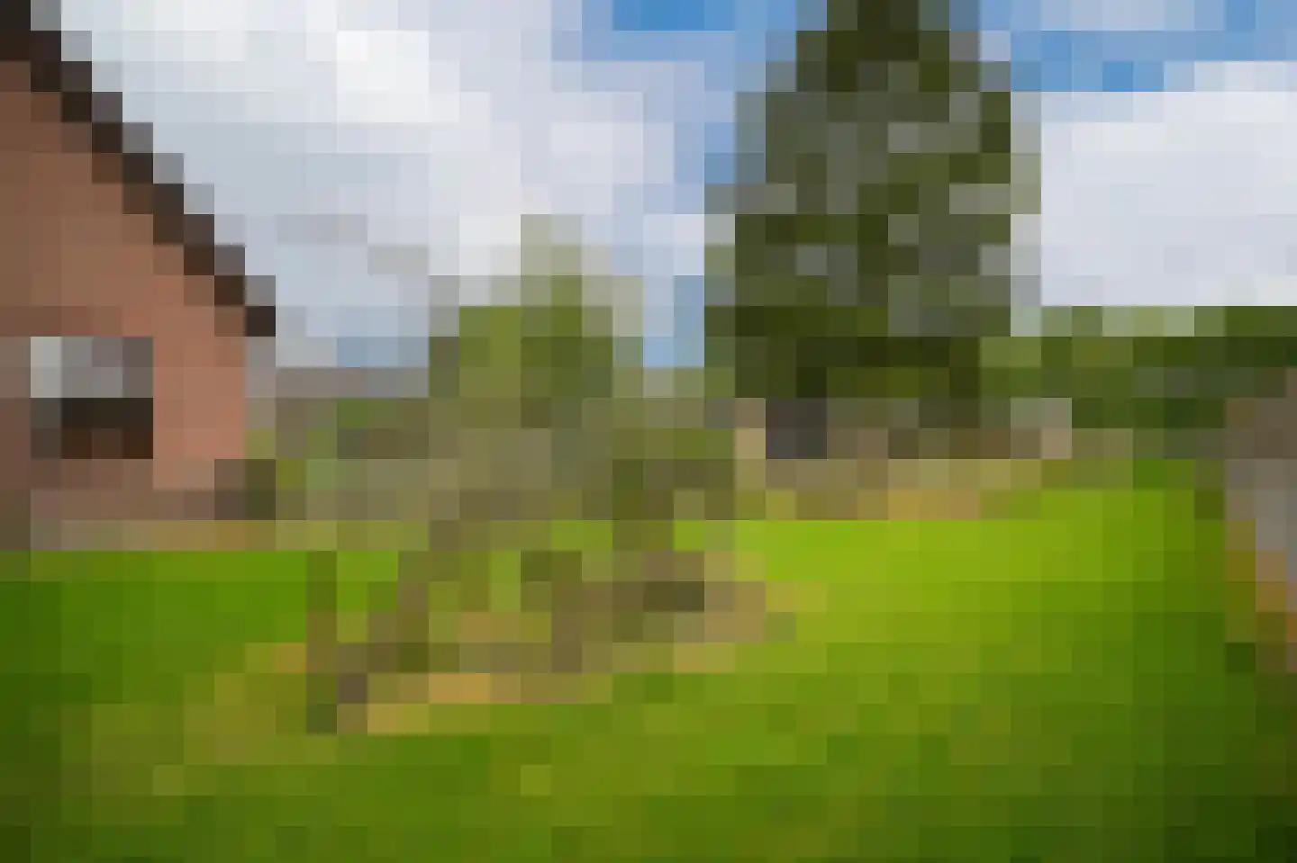 Rhodensteijnselaan 12 Langbroek thumbnail 25