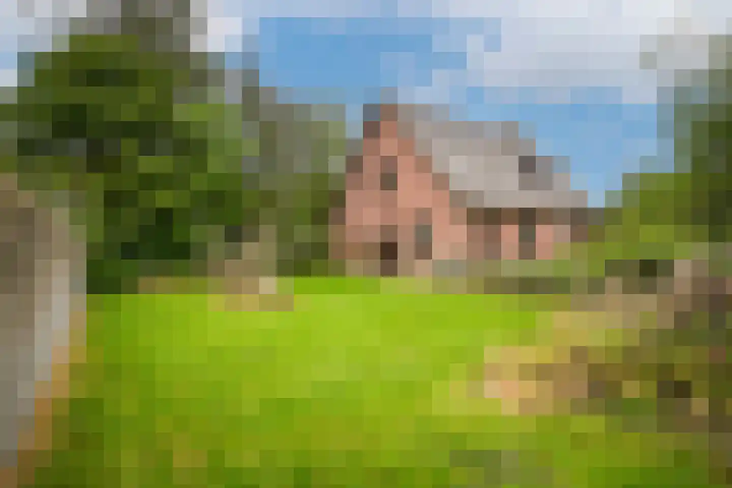 Rhodensteijnselaan 12 Langbroek thumbnail 26