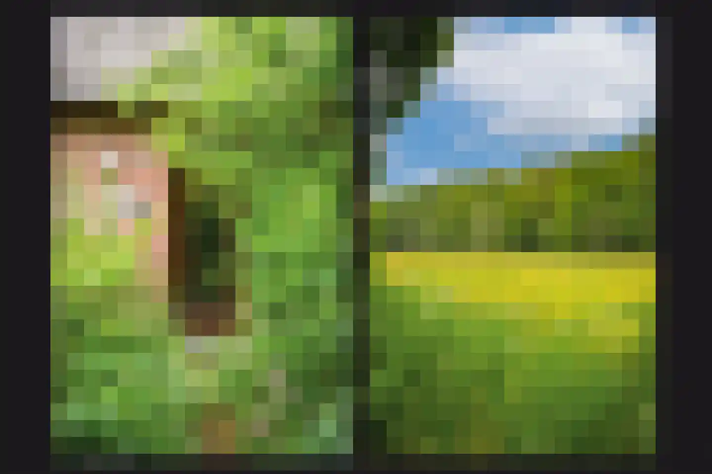 Rhodensteijnselaan 12 Langbroek thumbnail 28
