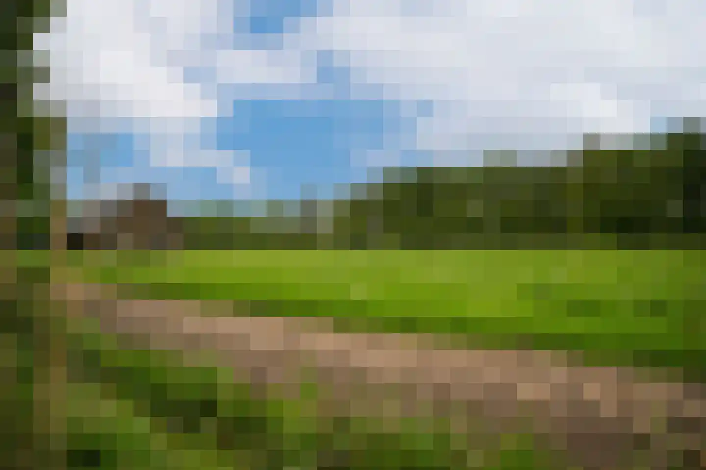Rhodensteijnselaan 12 Langbroek thumbnail 31