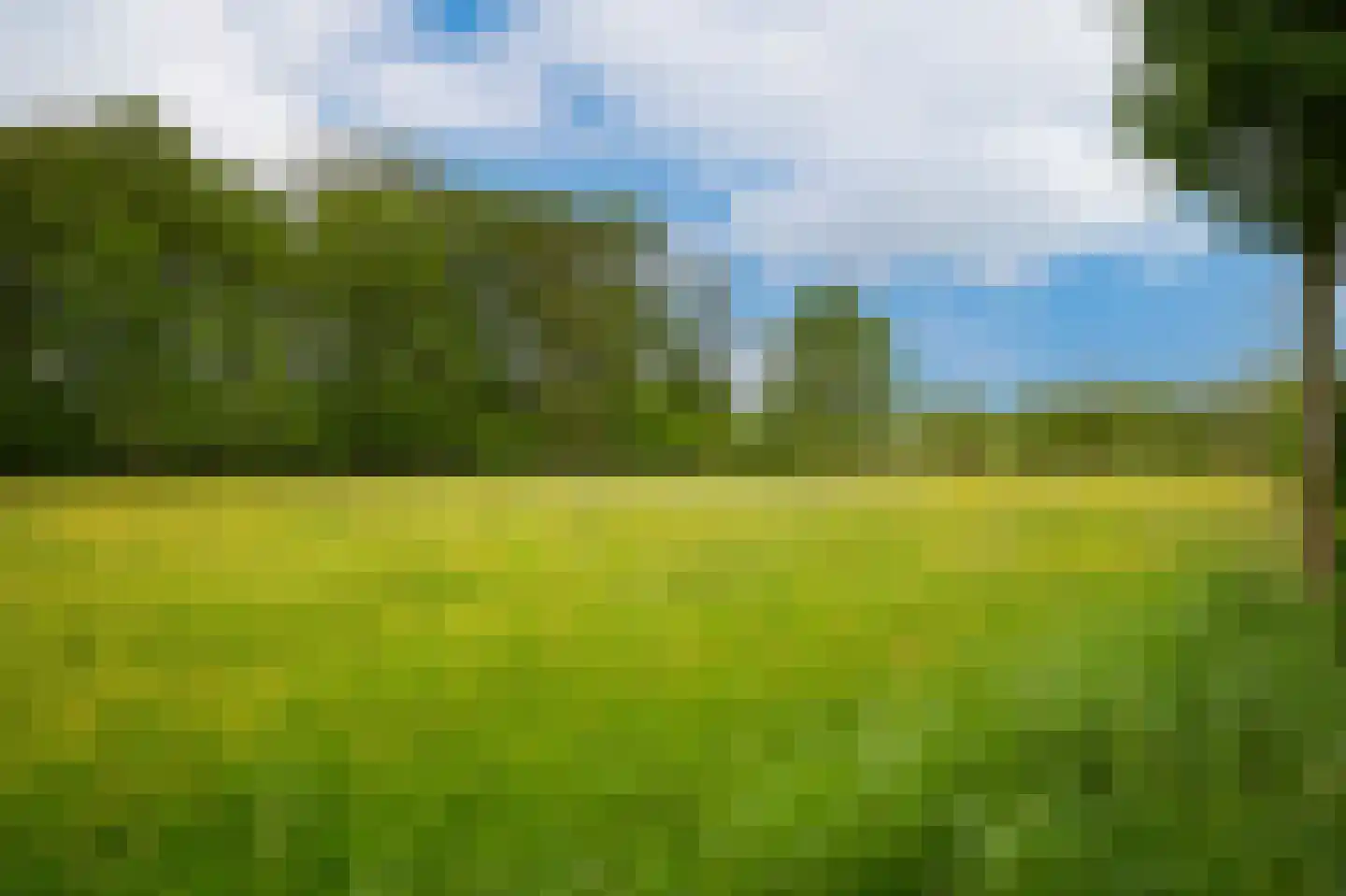 Rhodensteijnselaan 12 Langbroek thumbnail 32