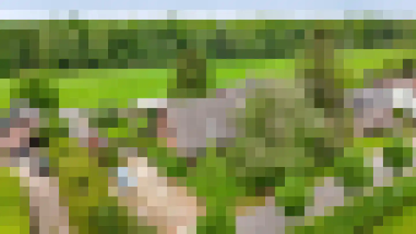 Rhodensteijnselaan 12 Langbroek thumbnail 35