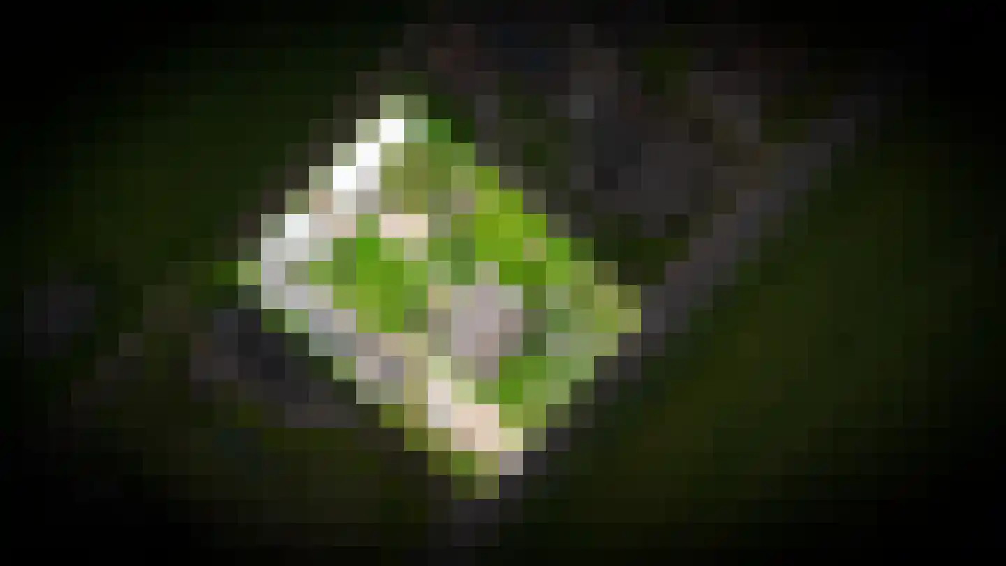 Rhodensteijnselaan 12 Langbroek thumbnail 37