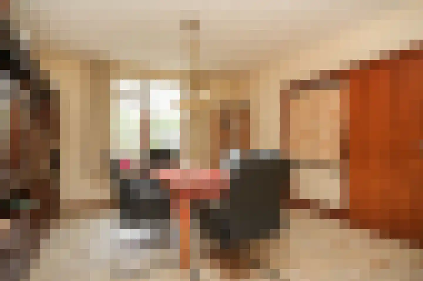 Rhodensteijnselaan 12 Langbroek thumbnail 8