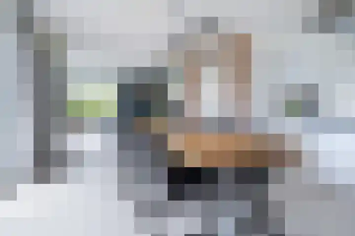 Rhoderterp 15 Dokkum thumbnail 14