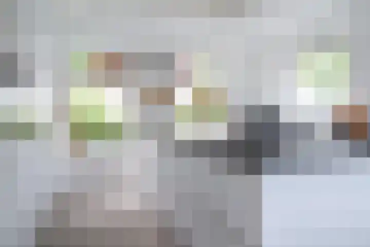 Rhoderterp 15 Dokkum thumbnail 17