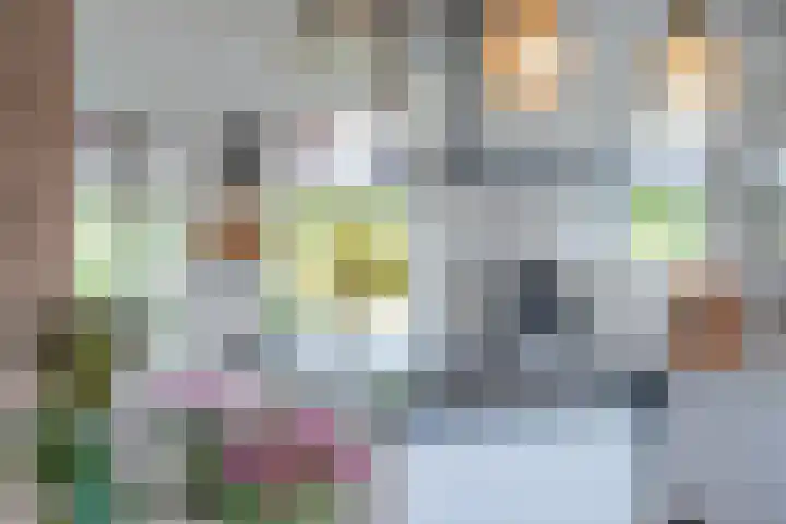 Rhoderterp 15 Dokkum thumbnail 18