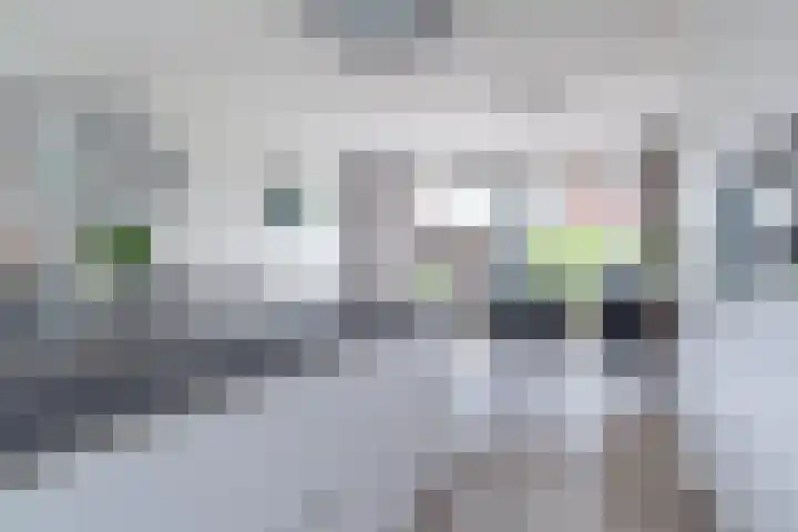 Rhoderterp 15 Dokkum thumbnail 20