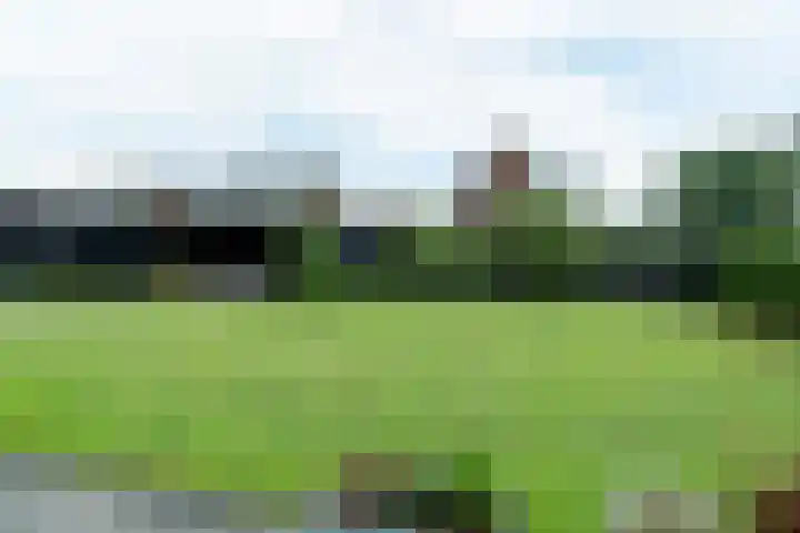 Rhoderterp 15 Dokkum thumbnail 39