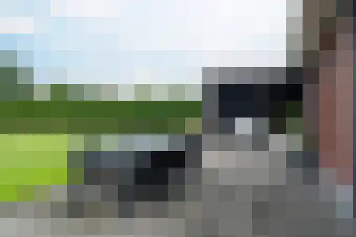 Rhoderterp 15 Dokkum thumbnail 40