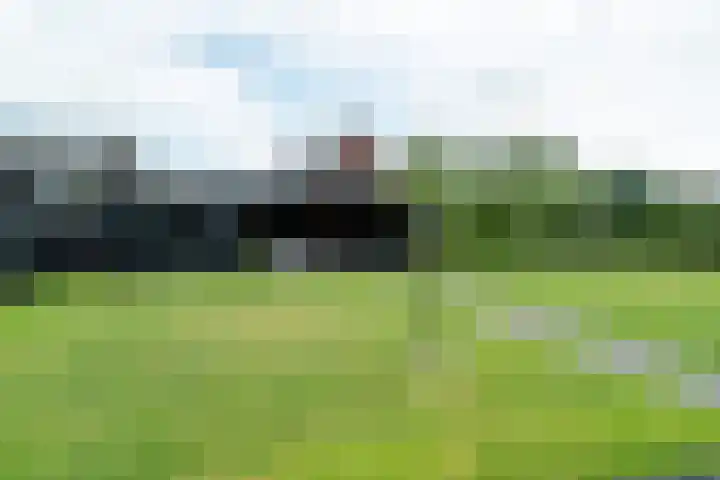 Rhoderterp 15 Dokkum thumbnail 42