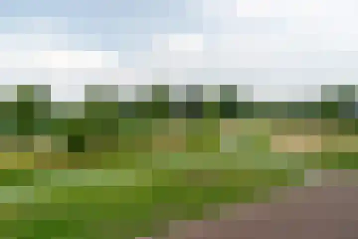 Rhoderterp 15 Dokkum thumbnail 46