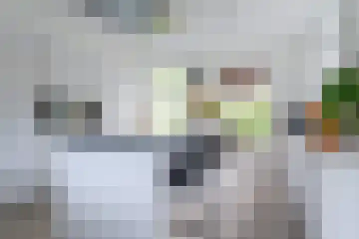 Rhoderterp 15 Dokkum thumbnail 5