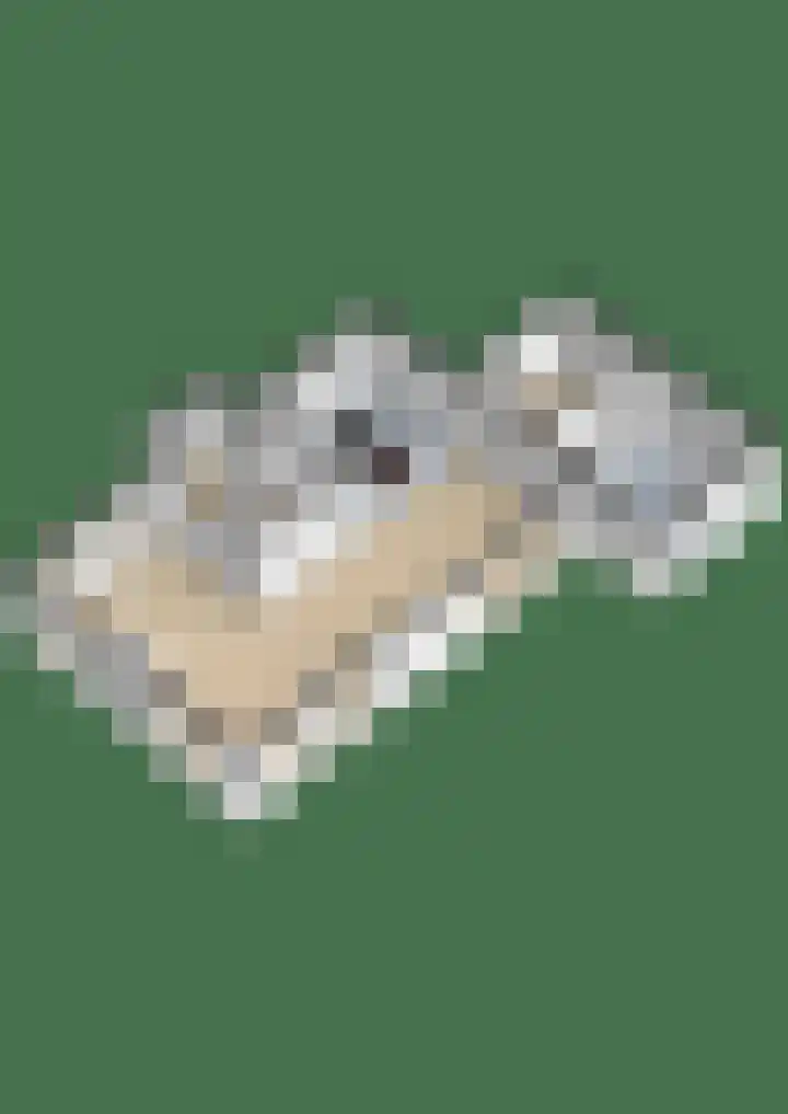 Rhoderterp 15 Dokkum thumbnail 53