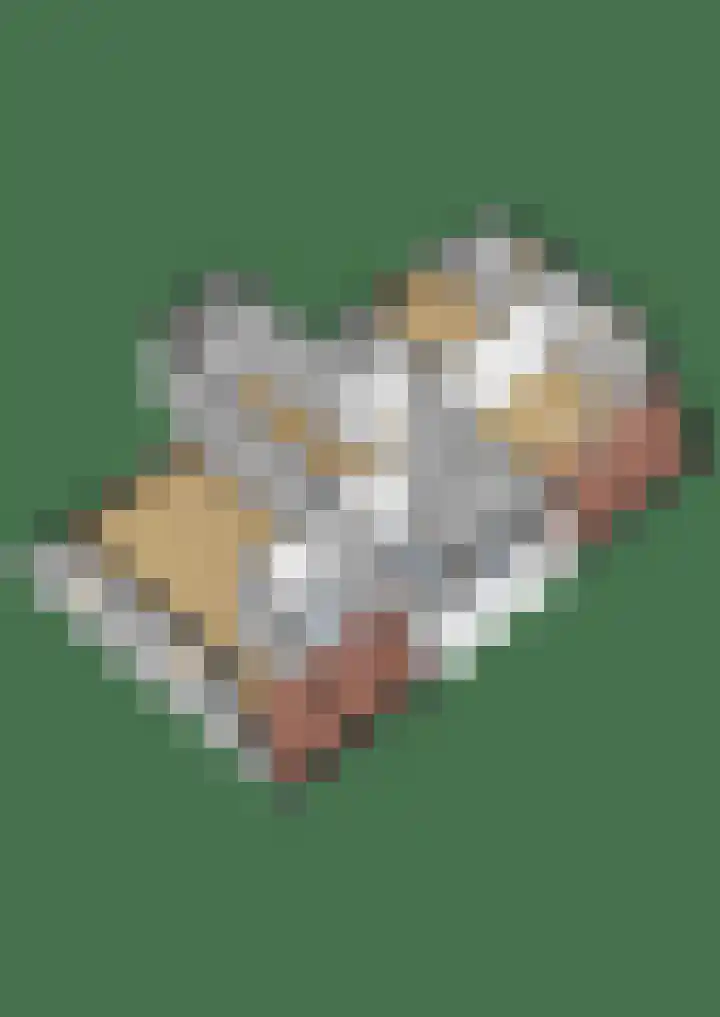 Rhoderterp 15 Dokkum thumbnail 54