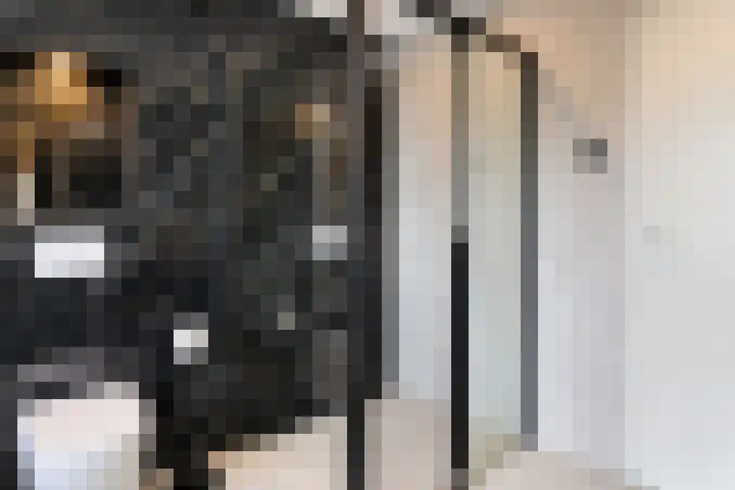 Rhodestraat 3 Wijnandsrade thumbnail 29