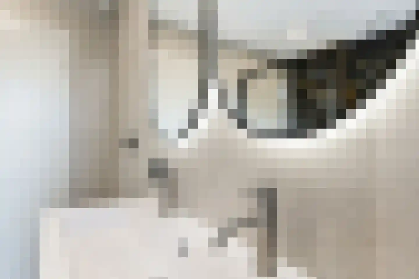 Rhodestraat 3 Wijnandsrade thumbnail 30