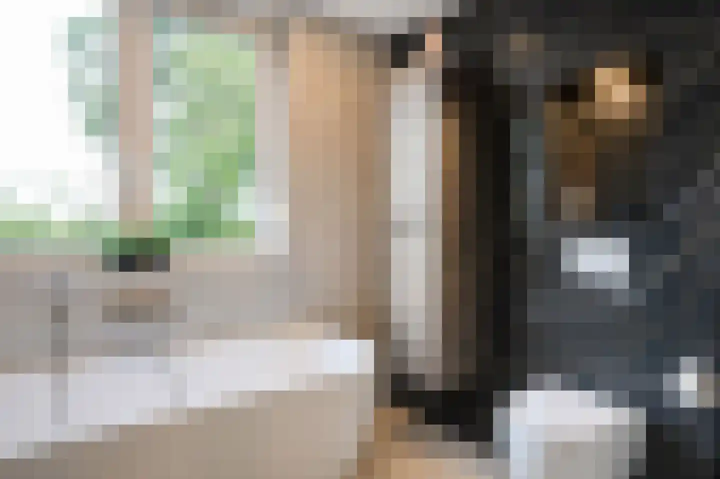 Rhodestraat 3 Wijnandsrade thumbnail 31