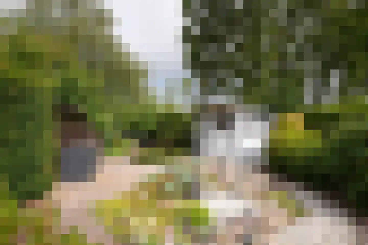 Rhodestraat 3 Wijnandsrade thumbnail 38