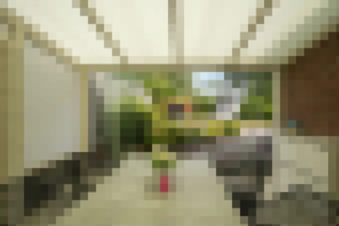 Rhodestraat 3 Wijnandsrade thumbnail 44