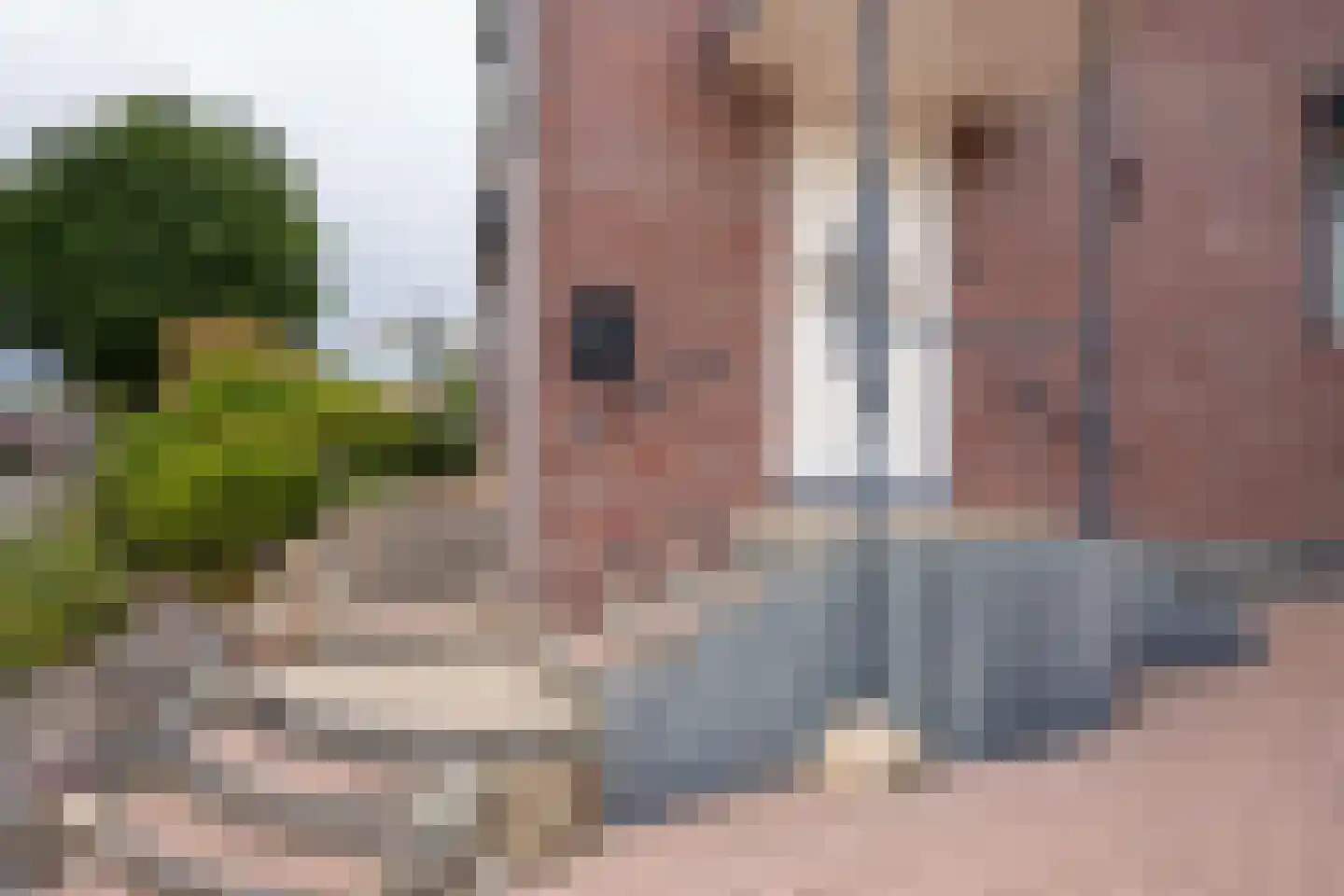 Rhodestraat 3 Wijnandsrade thumbnail 46