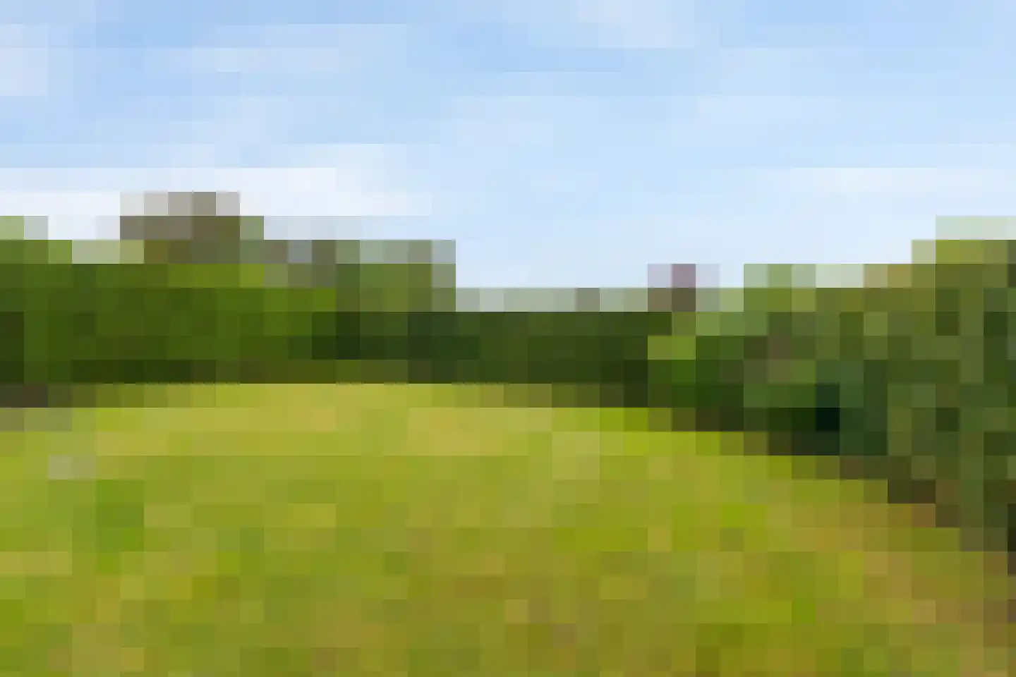 Rhodestraat 33 Wijnandsrade thumbnail 17