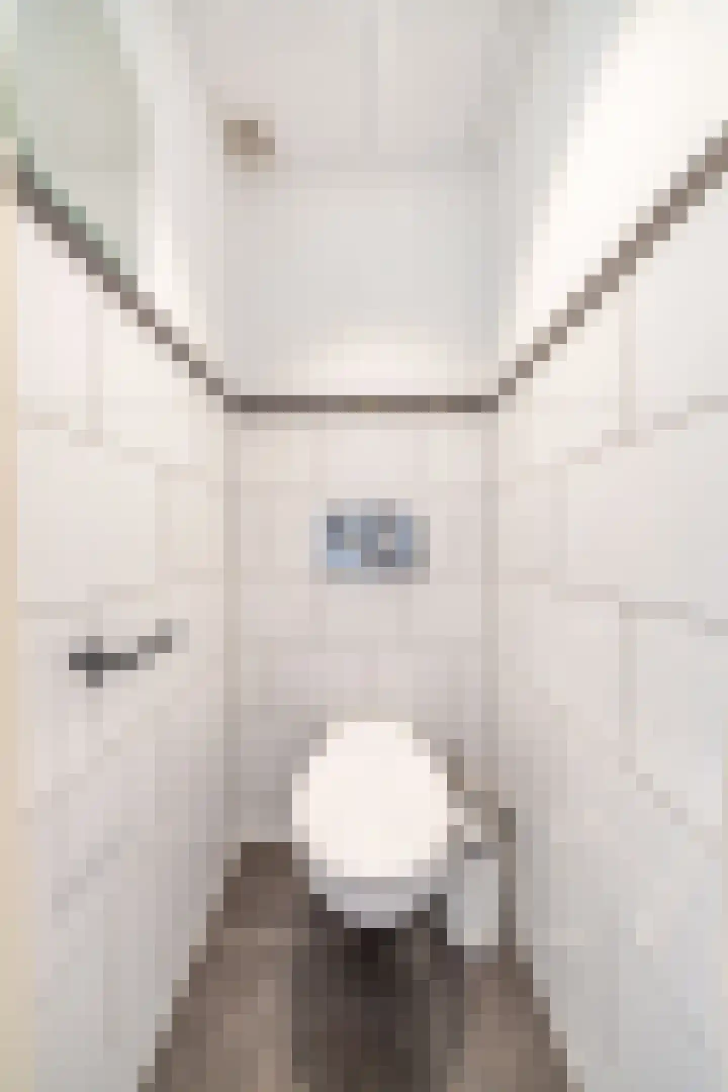 Rhododendronstraat 102 Den Haag thumbnail 25