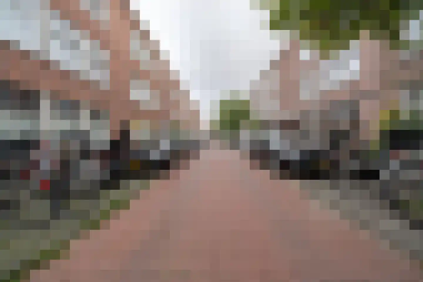 Rhododendronstraat 102 Den Haag thumbnail 29