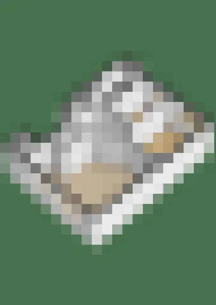Rhododendronstraat 45 Den Haag thumbnail 35