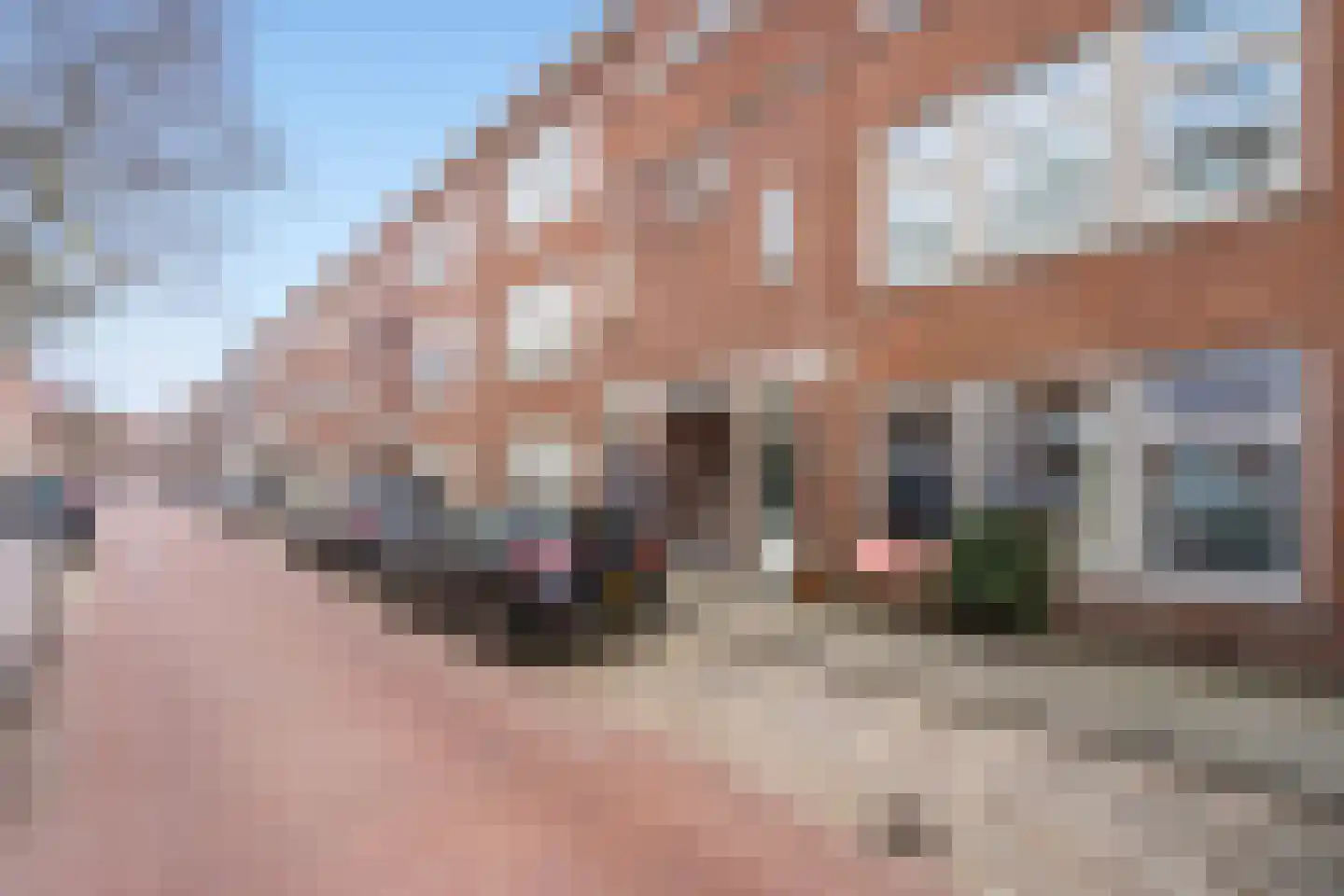 Rhododendronstraat 84 Den Haag thumbnail 28