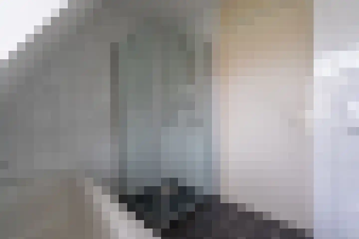 Rhodonietdreef 38 Emmen thumbnail 33
