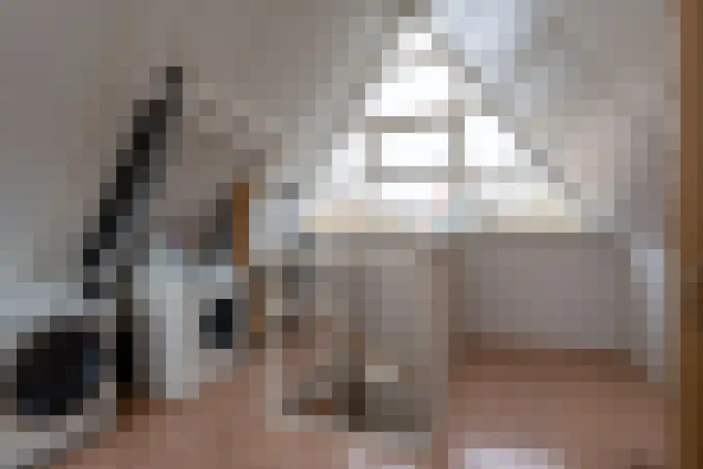 Rhodonietdreef 38 Emmen thumbnail 35