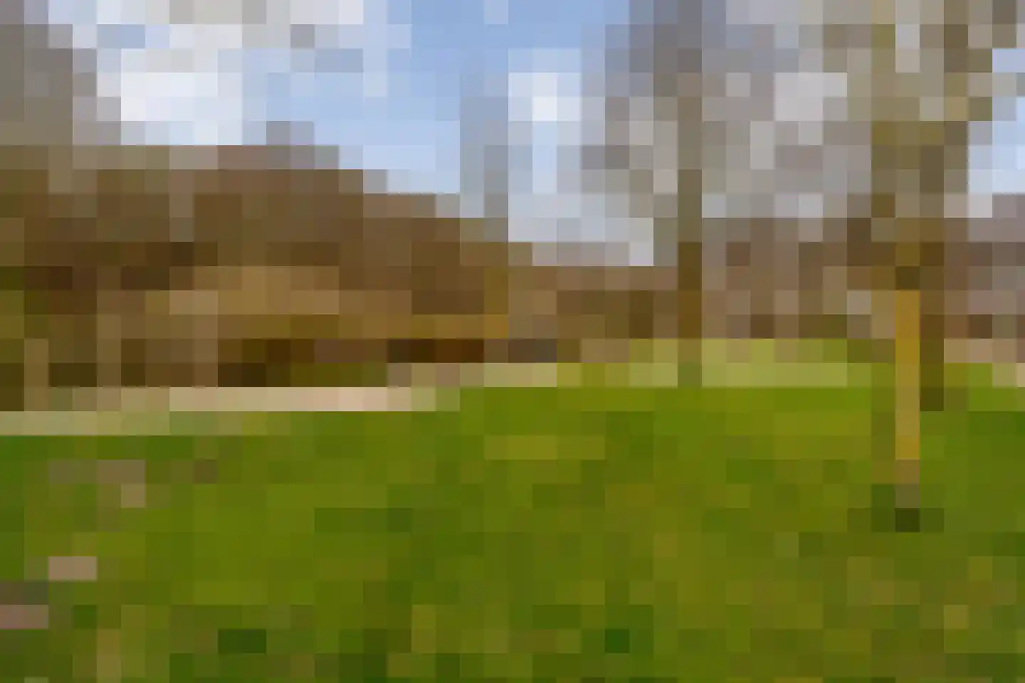 Rhodonietdreef 38 Emmen thumbnail 44