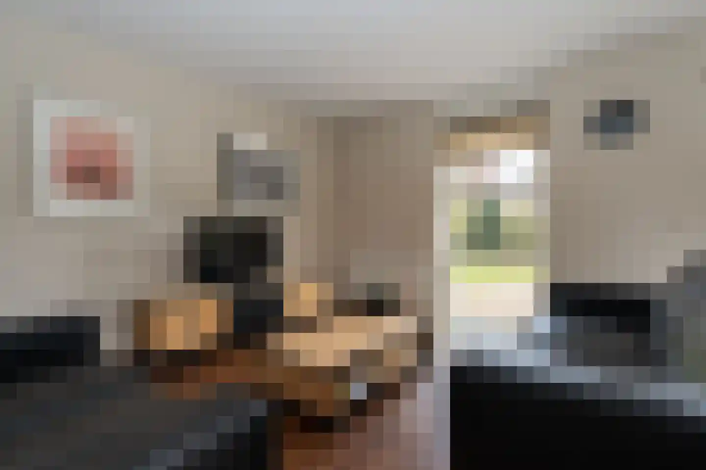 Rhodonietdreef 38 Emmen thumbnail 7