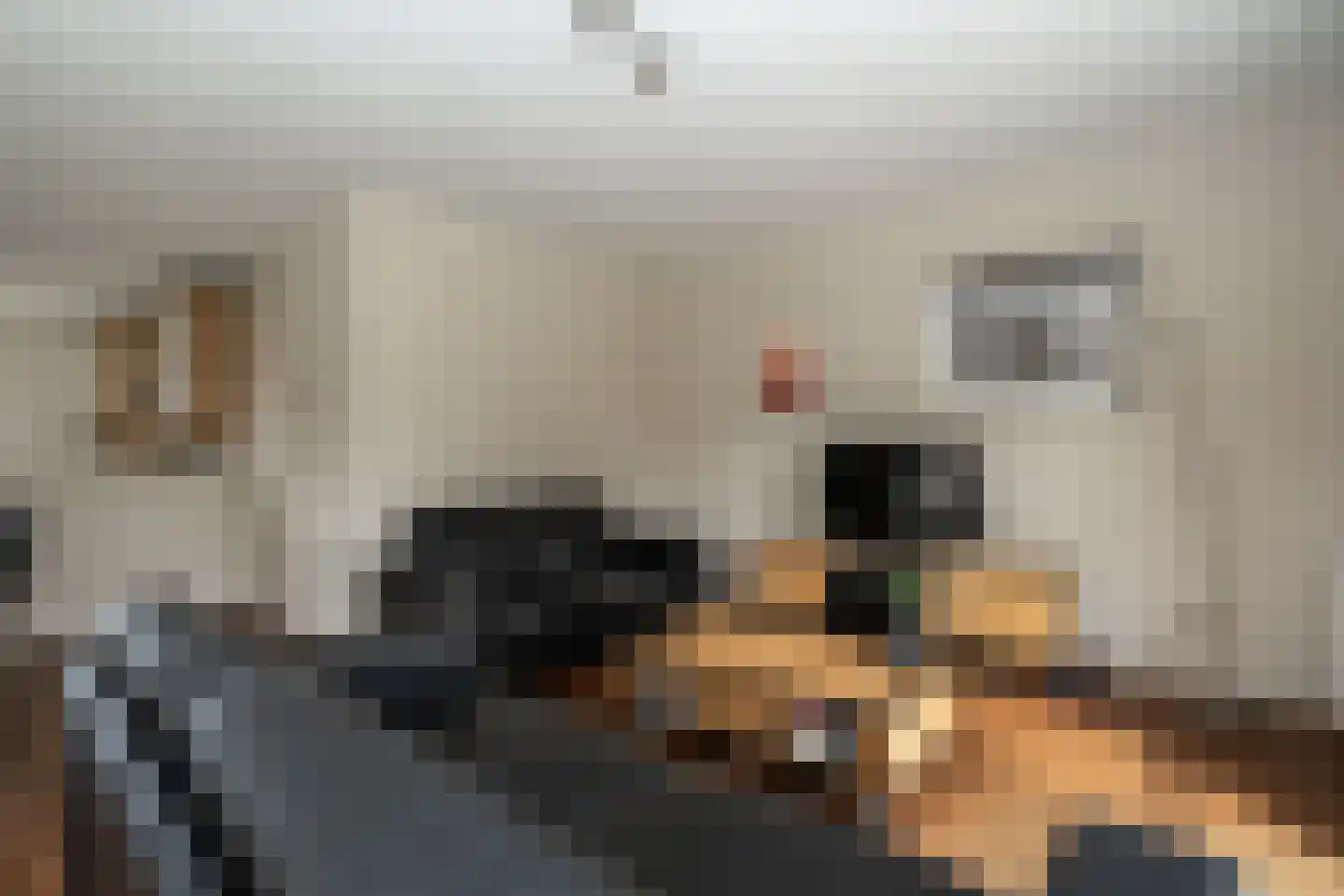 Rhodonietdreef 38 Emmen thumbnail 8