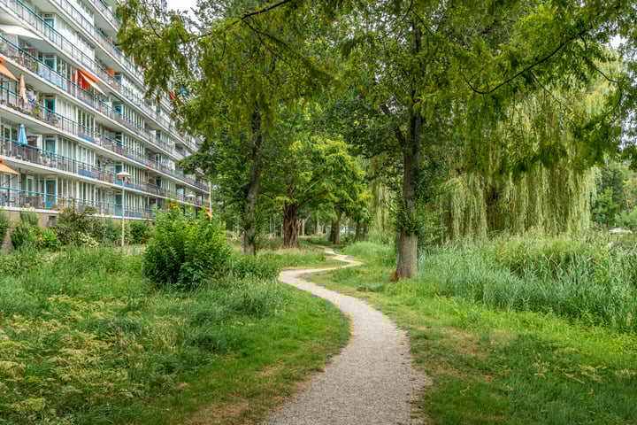 Rhodosdreef 106 en Utrecht foto