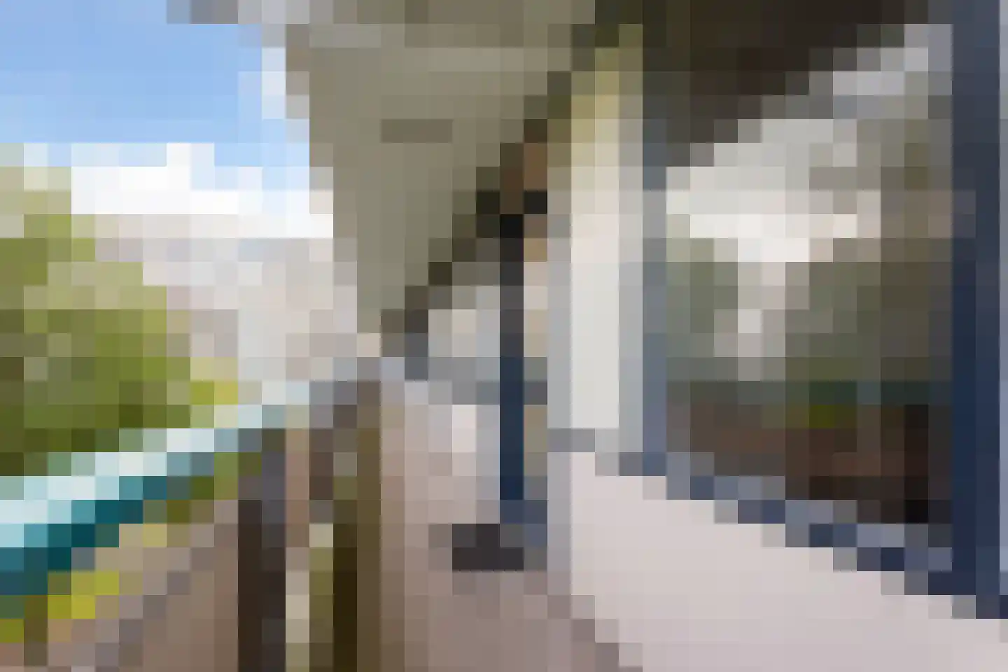 Rhodosdreef 116 Utrecht thumbnail 23