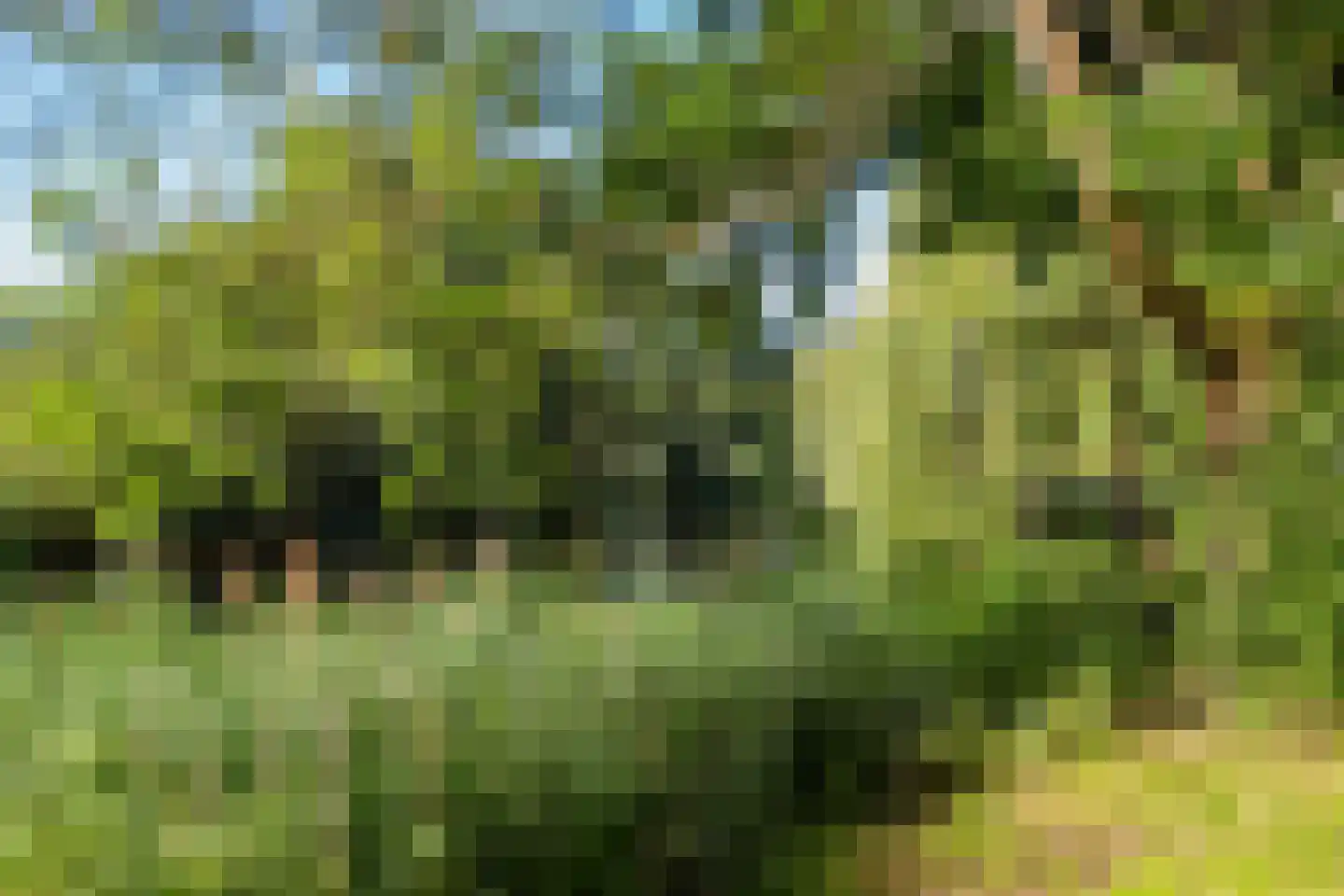 Rhodosdreef 116 Utrecht thumbnail 28