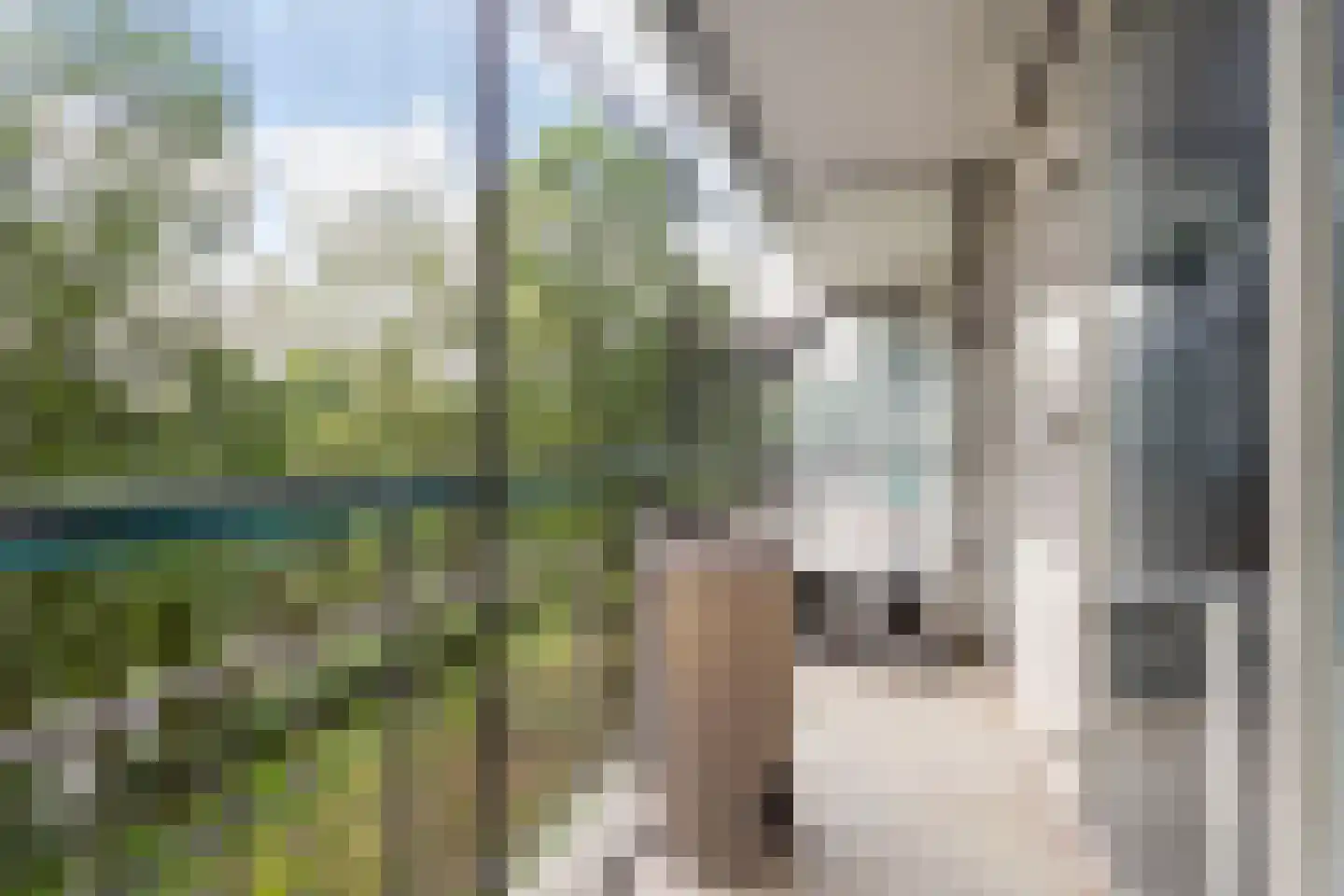 Rhodosdreef 116 Utrecht thumbnail 8