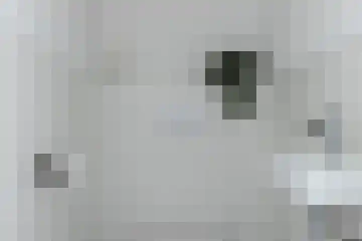 Rhodosdreef 128 Utrecht thumbnail 16