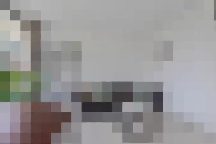 Rhodosdreef 128 Utrecht thumbnail 22